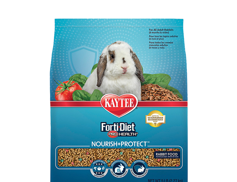 Save 2 dollars on Kaytee Forti-Diet food. Shop now.